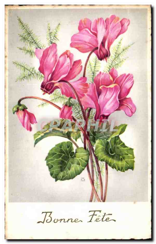 Fleurs - Flowers - Bouquet of pink exotic flowers - Bonne Fete - CPA 