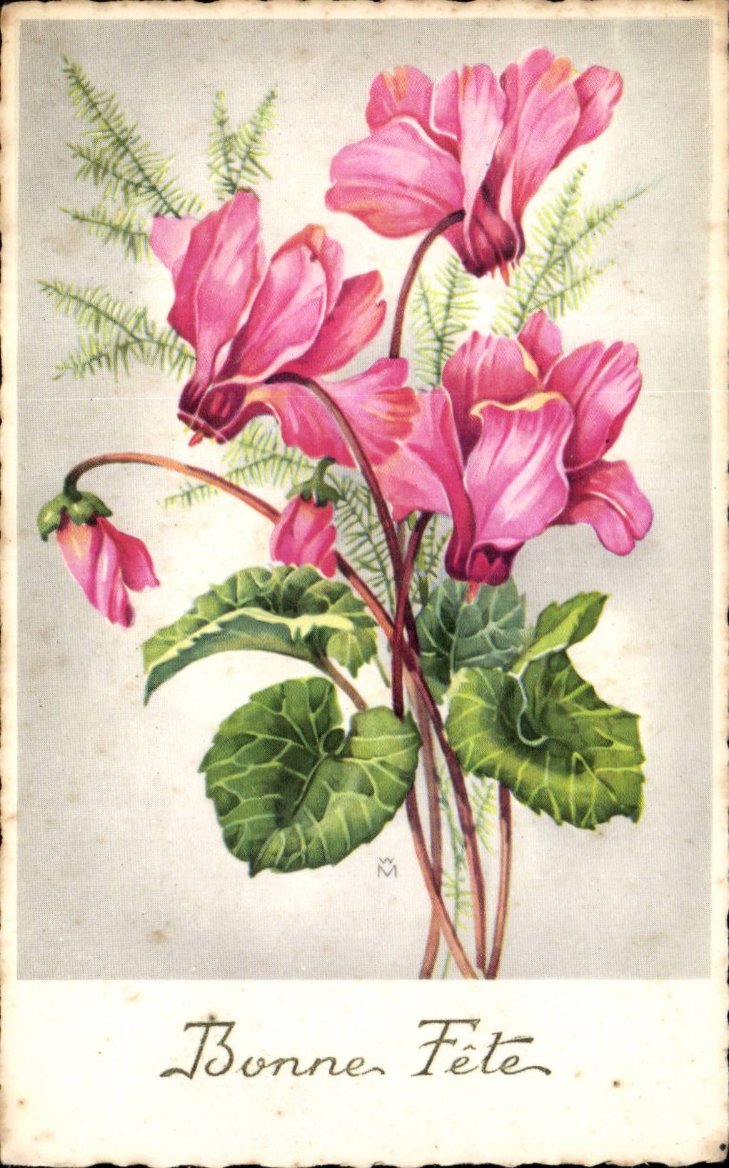 Fleurs - Flowers - Pink exotic flowers - Bonne Fete - CPA 