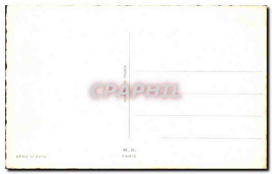 Fleurs - Flowers - pretty exotic flowers - Bonne Fete - CPA  — Verso