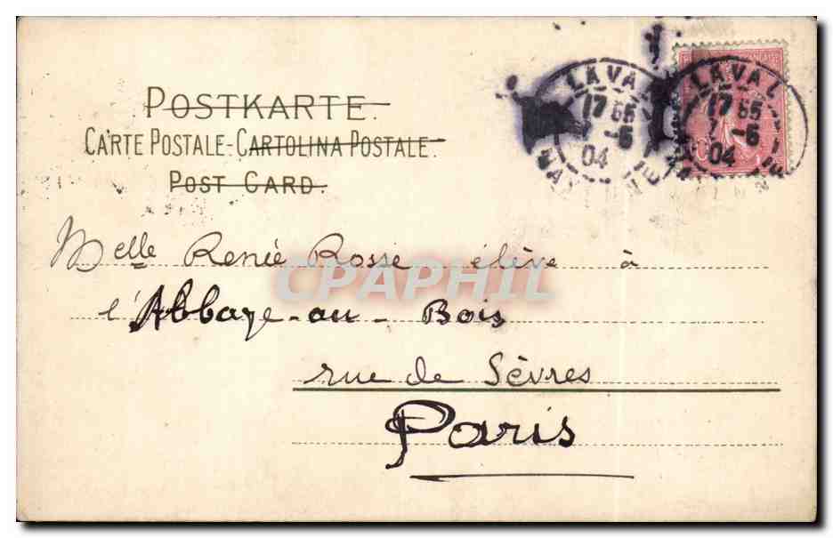 Fleurs - Flowers - white and yellow blooms - very victorian - CPA  — Rückseite