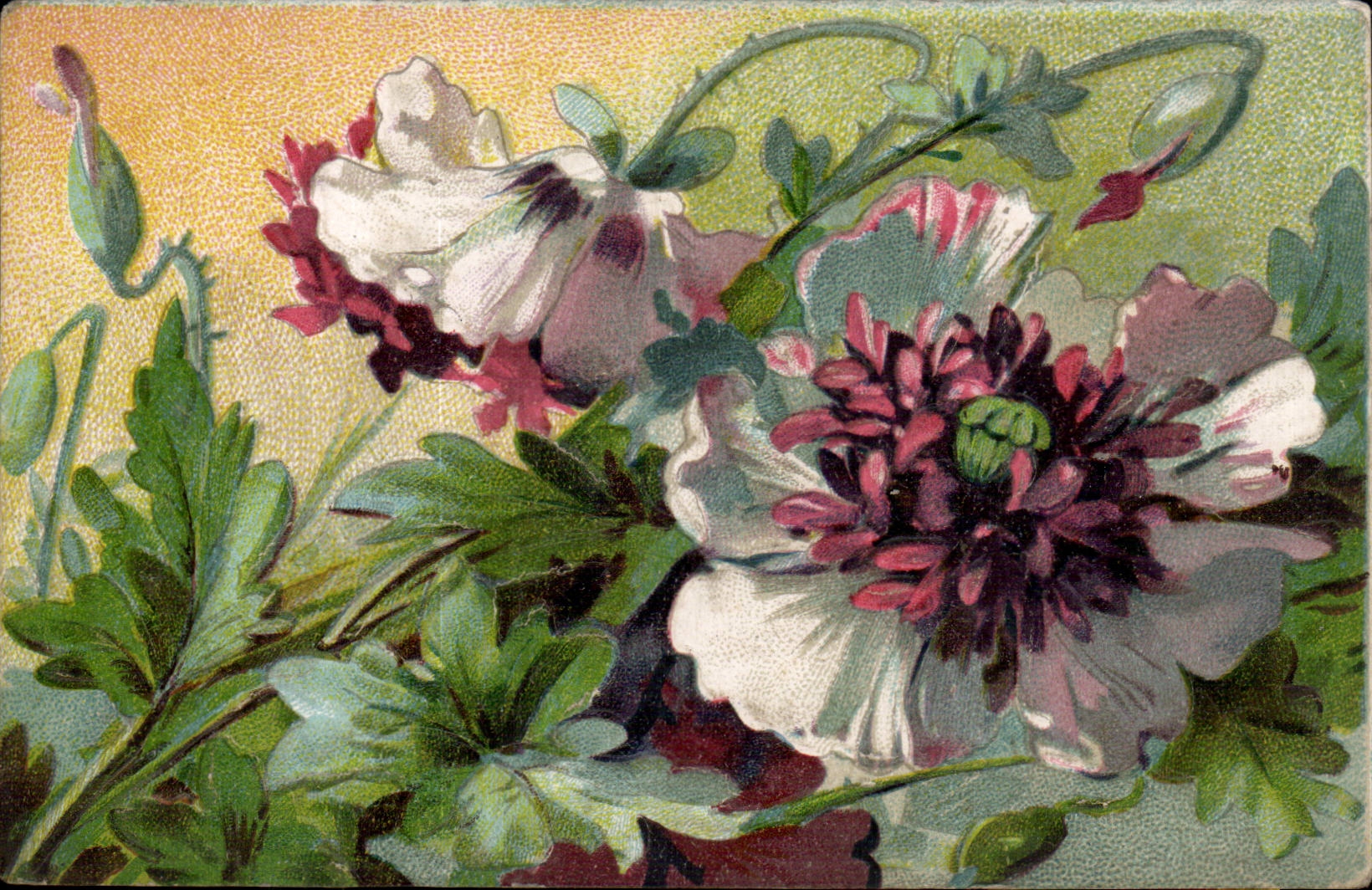 Fleurs - Flowers - Warm flower images - CPA 