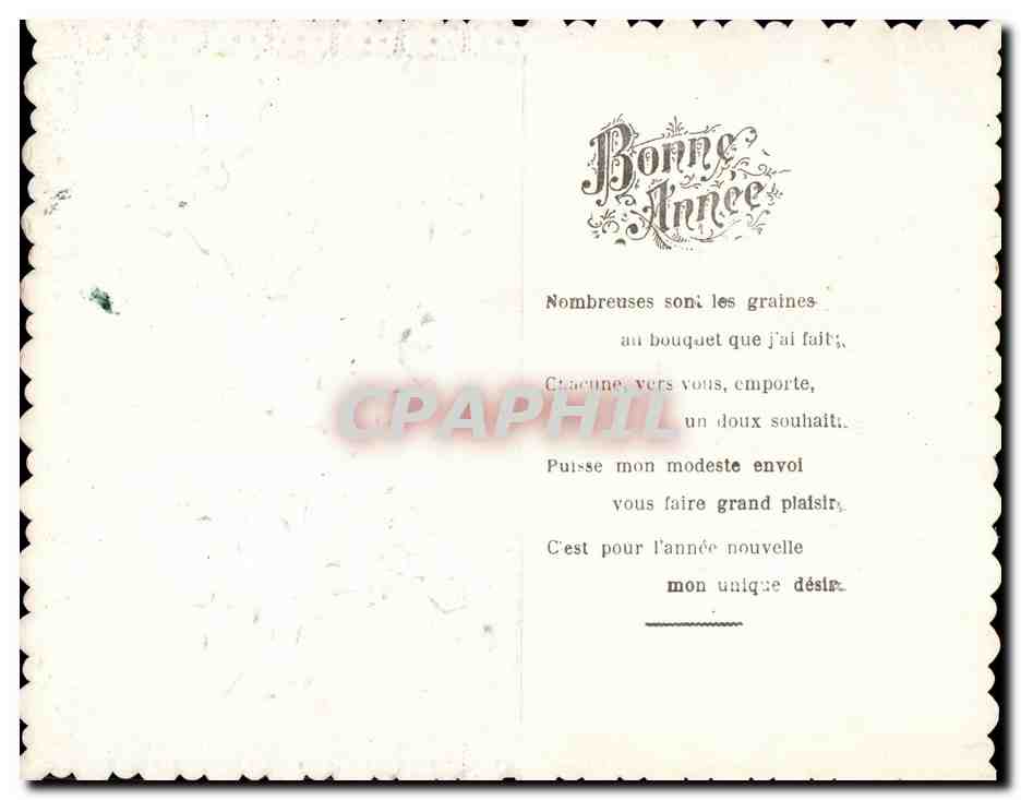 Fleurs - Flowers - houx - holly - CPA  — Rückseite