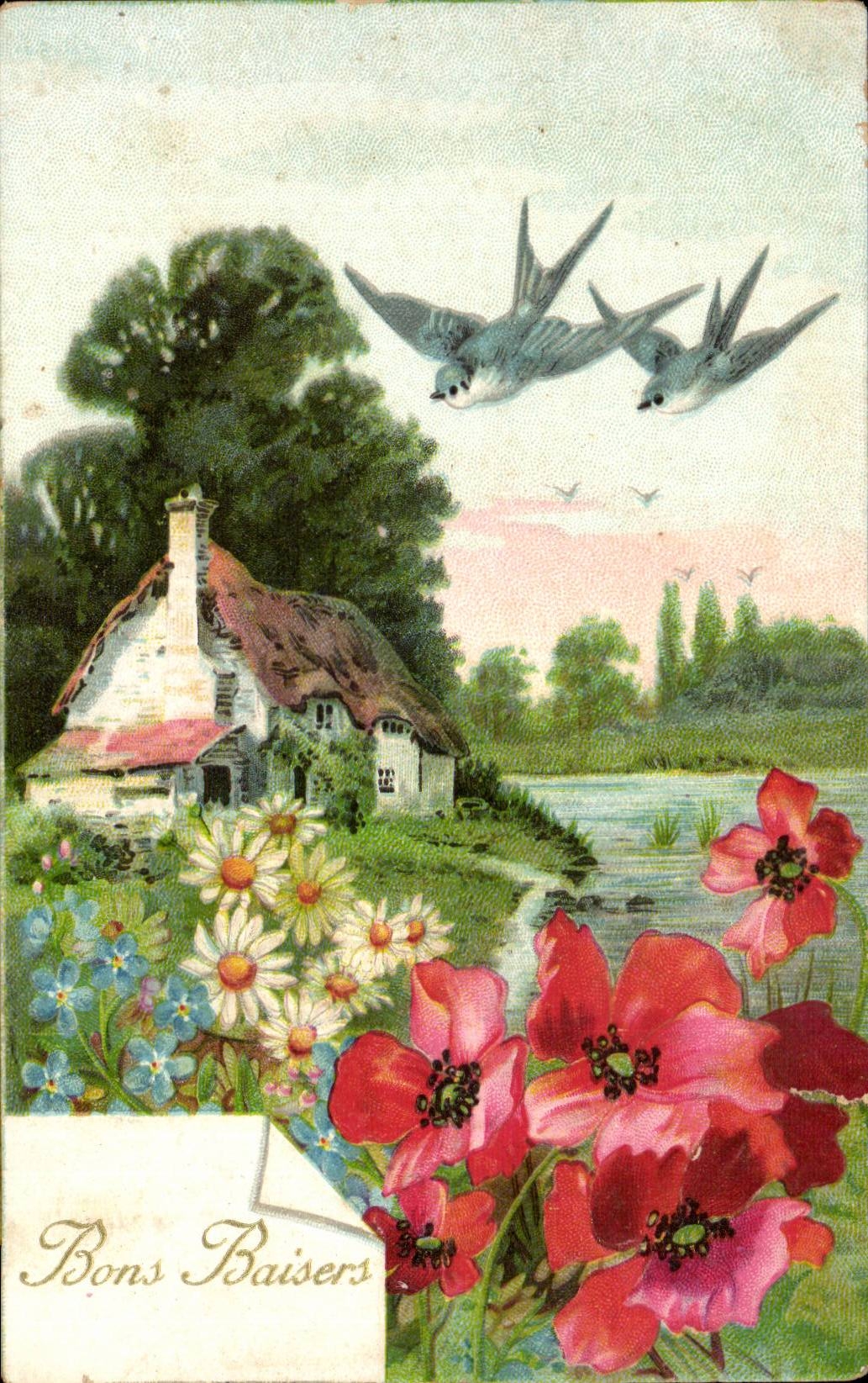 Animaux - Oiseaux - Birds - Pretty Cottage - CPA Hirondelle