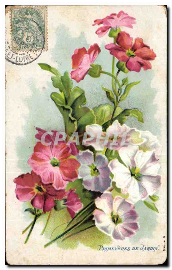 Fleurs - Flowers - Spring Bouquet - CPA 