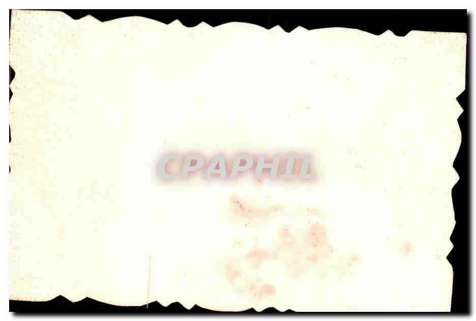 Fleurs - Flowers - Lacy sea scene - CPA  — Rückseite