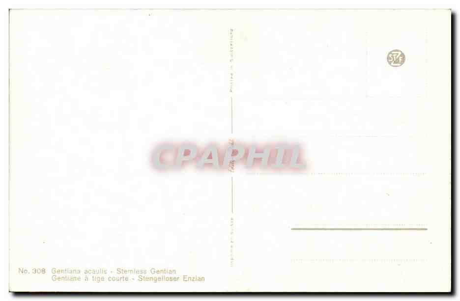 Fleurs - Flowers - Three large colorful flowers - CPA  — Verso