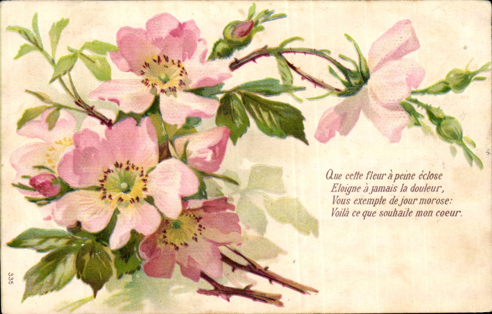 Fleurs - Flowers - flower springs - Victorian - CPA 