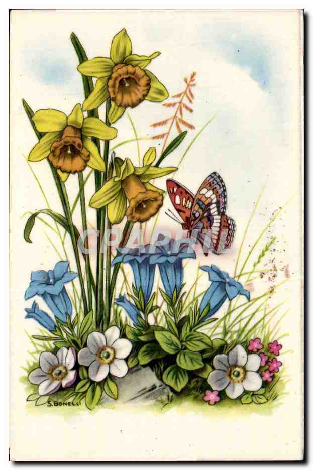 Fleurs - Flowers - daffodil - butterfly - papillon - Victorian - CPA 