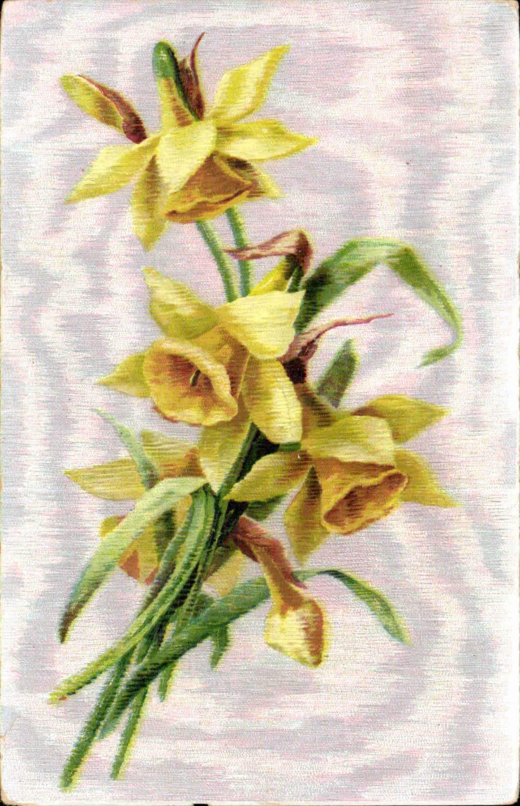 Fleurs - Flowers - pretty yellow flowers - CPA 