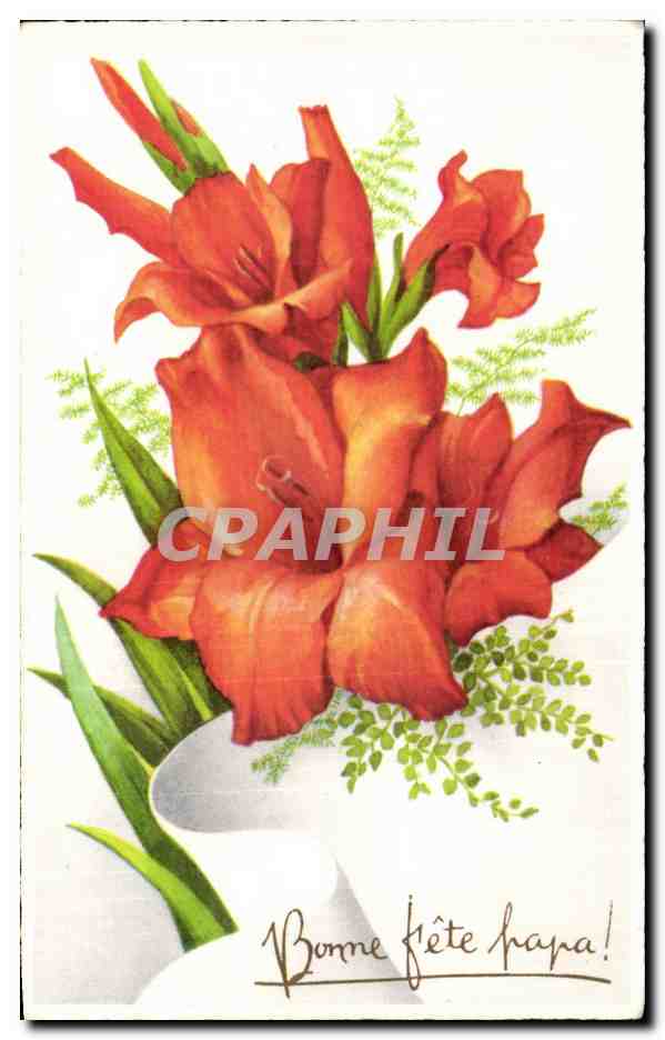 Fleurs - Flowers - bright orange blooms - bonne fete - CPA 
