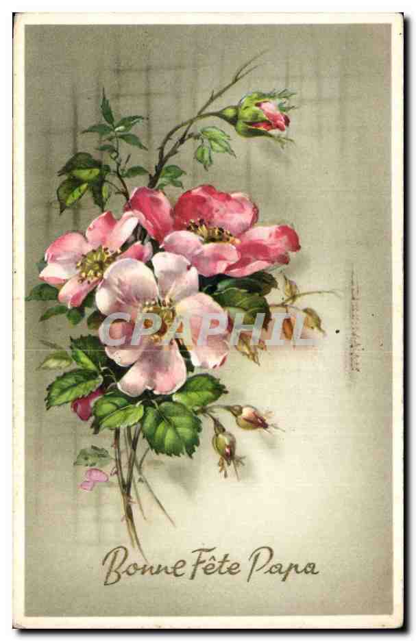 Fleur - Flowers - victorian - bouquet - Bonne Fete Papa - CPA 