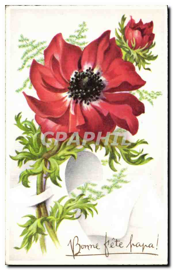 Fleur - Flowers - victorian - pretty red flower - CPA 