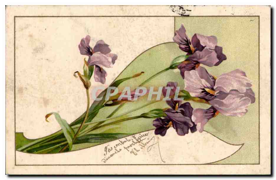 Fleur - Flowers - victorian - pretty purple irises - CPA 