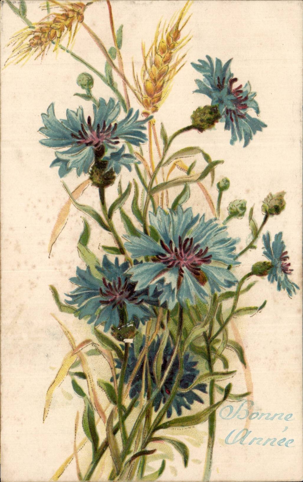Fleur - Flowers - victorian - pretty wildflowers with wheat - CPA 