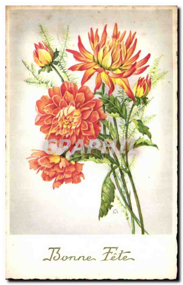 Fleur - Flowers - victorian - orange exotic flowers - - CPA 