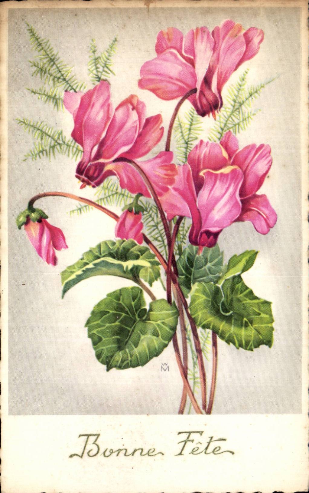 Fleur - Flowers - victorian - pink exotic flowers - - CPA 