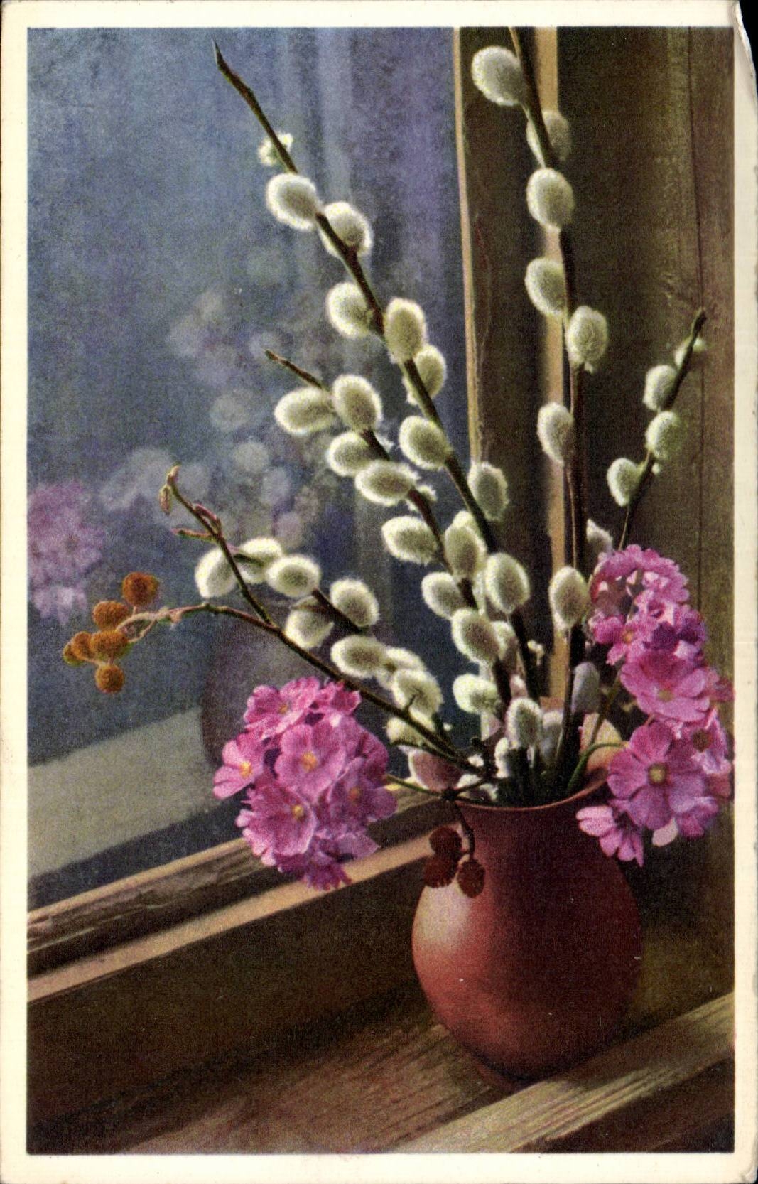 Fleurs - Flowers - Vase of pussywillows - CPA 