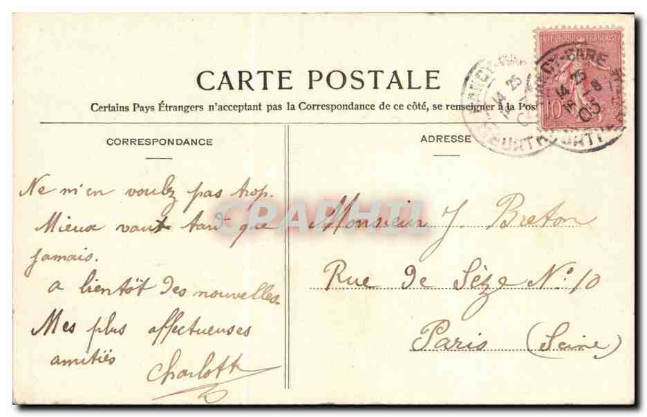 Fleurs - Flowers - daisies - CPA  — Verso