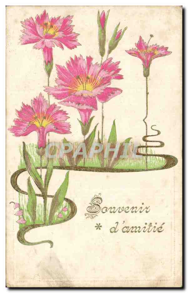 Fleurs - Flowers - victorian pink flowers - CPA 