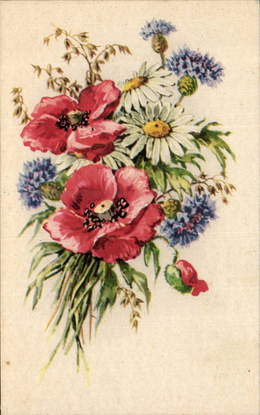 Fleurs - Flowers - victorain - pretty wildflowers - CPA 