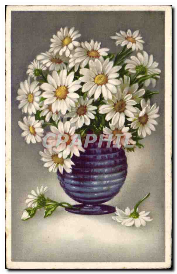 Fleurs - Flowers - vase of daisies - CPA 