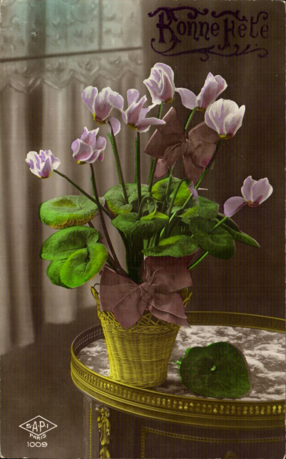 Fleurs - Flowers - pot of flowers at window - CPA 