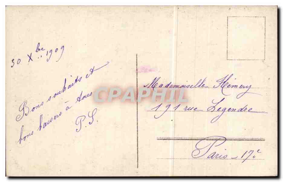 Fleurs - Flowers - white blooms - CPA  — Verso