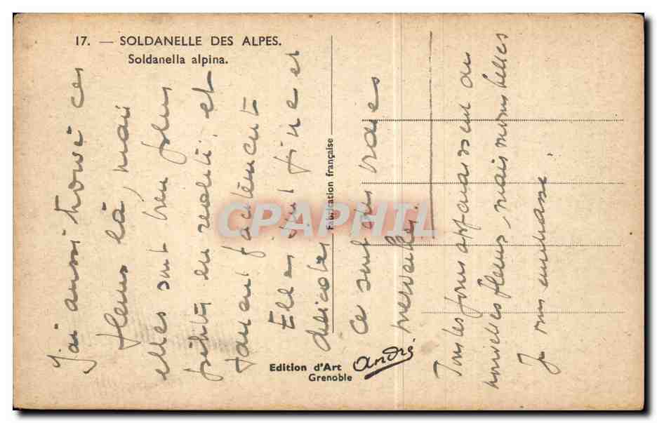 Fleurs - Flowers - little victorian flowers - CPA  — Verso