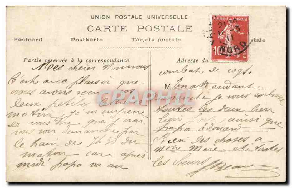 Fleurs - Flowers - daisies - mouton - sheep - CPA  — Back