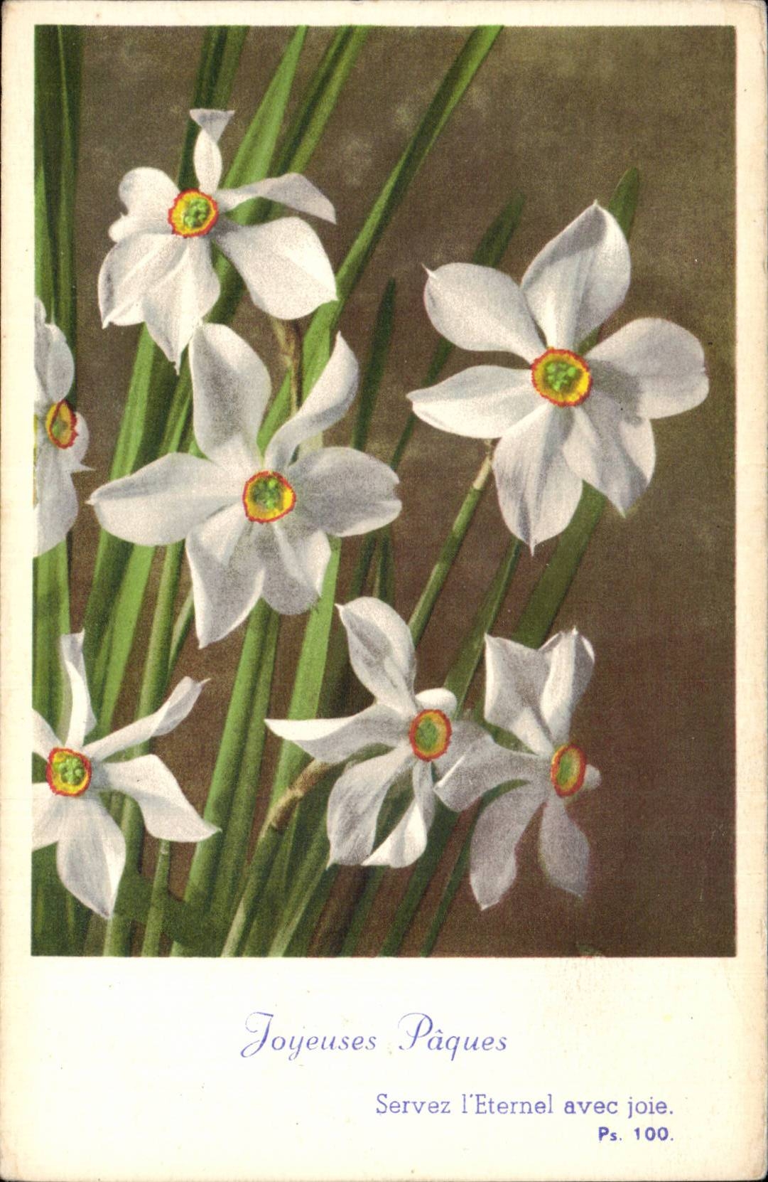 Fleurs - Flowers - Victorian white flowers - CPA 