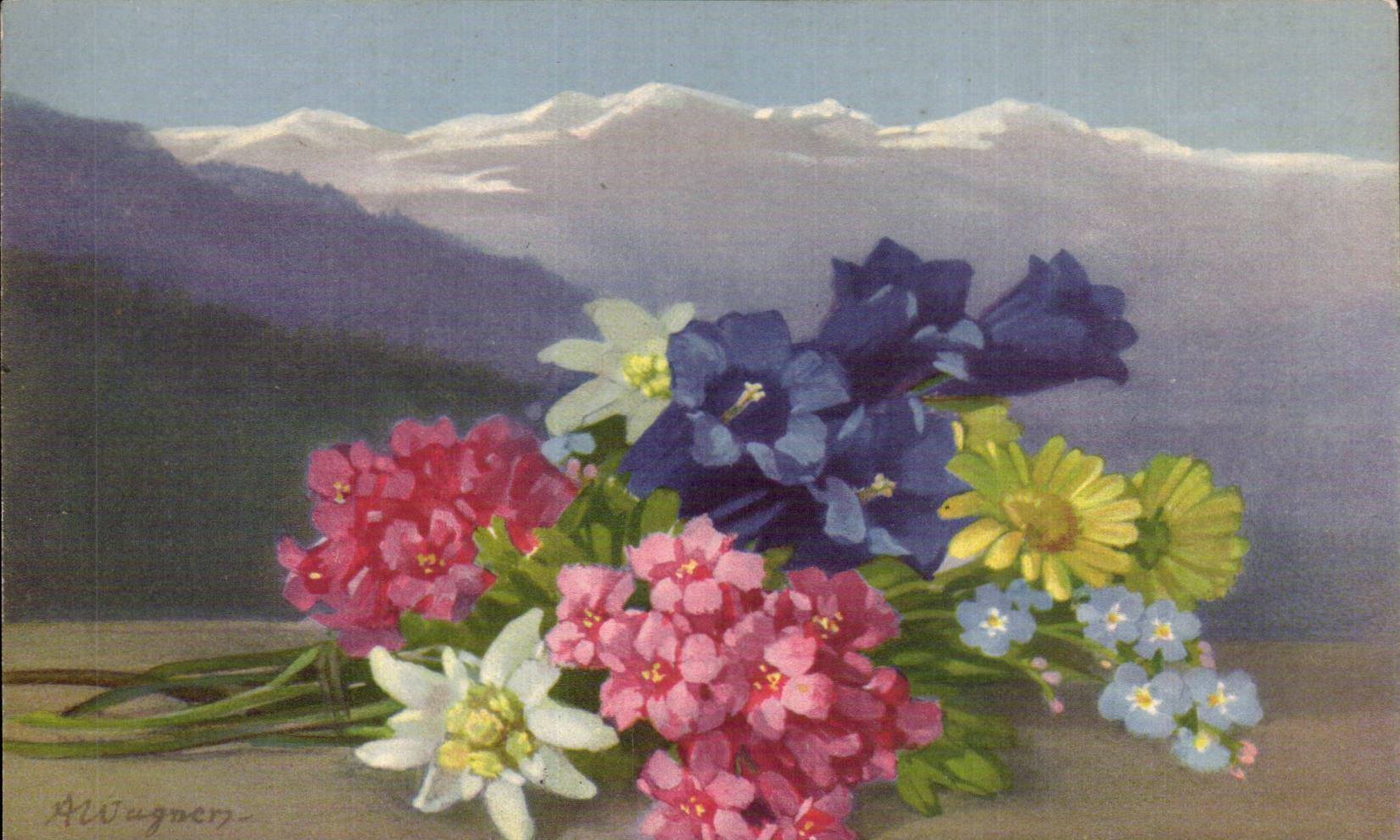 Fleurs - Flowers - bouquet and mountains - CPA 
