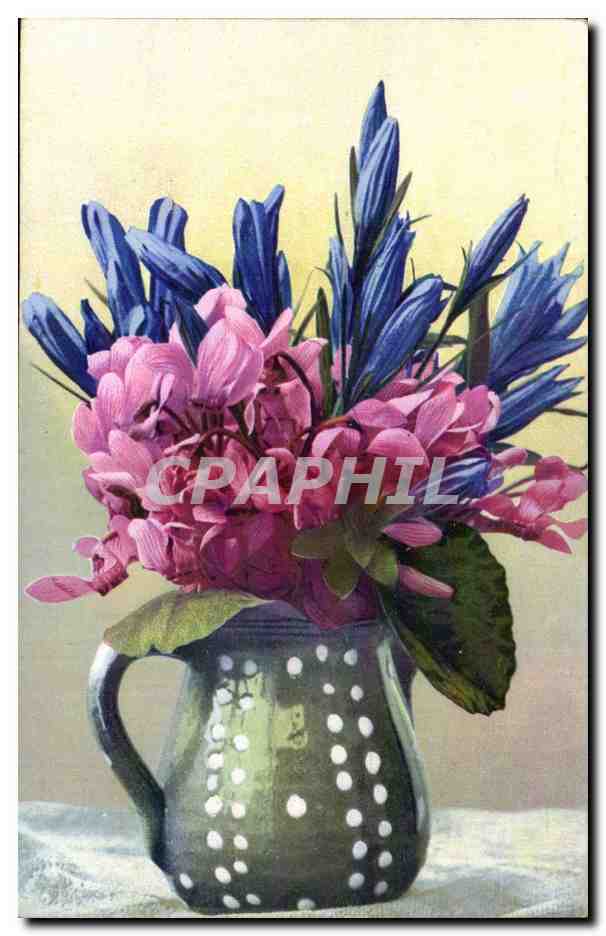 Fleurs - Flowers - purple flowers in pretty pitcher - CPA 