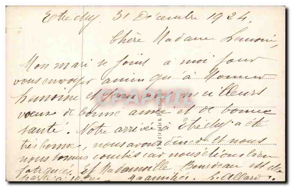 Fleurs - Flowers - CPA  — Verso