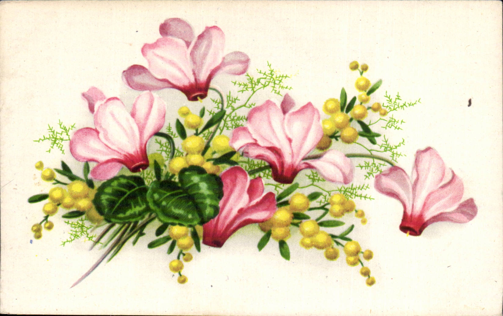 Fleurs - Flowers - yellow blooms - CPA 