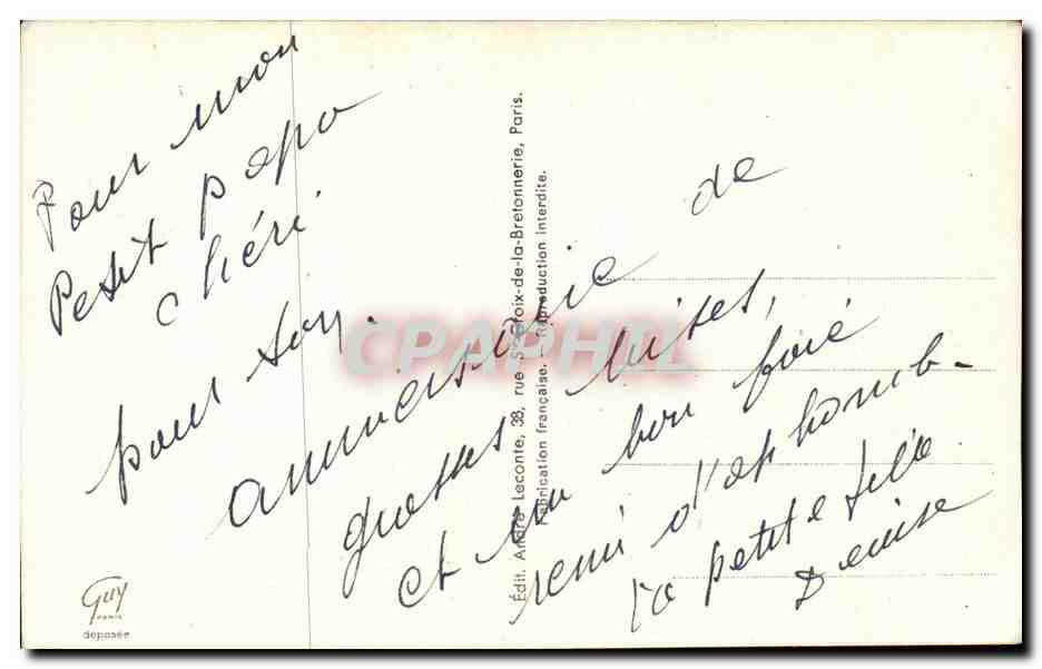 Fleurs - Flowers - yellow blooms - CPA  — Verso