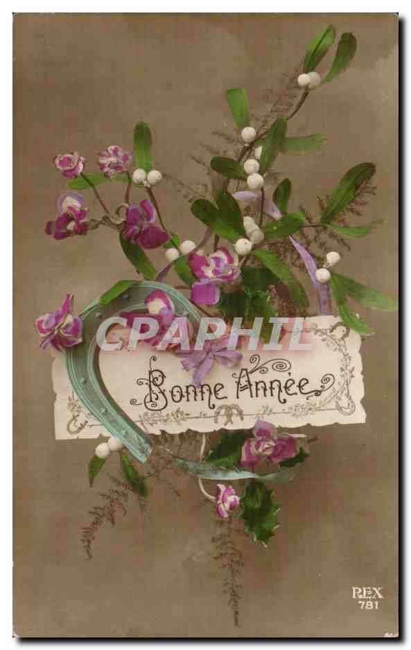 Fleurs - Flowers - Bonne Anne - houx - holly with white berries - CPA 