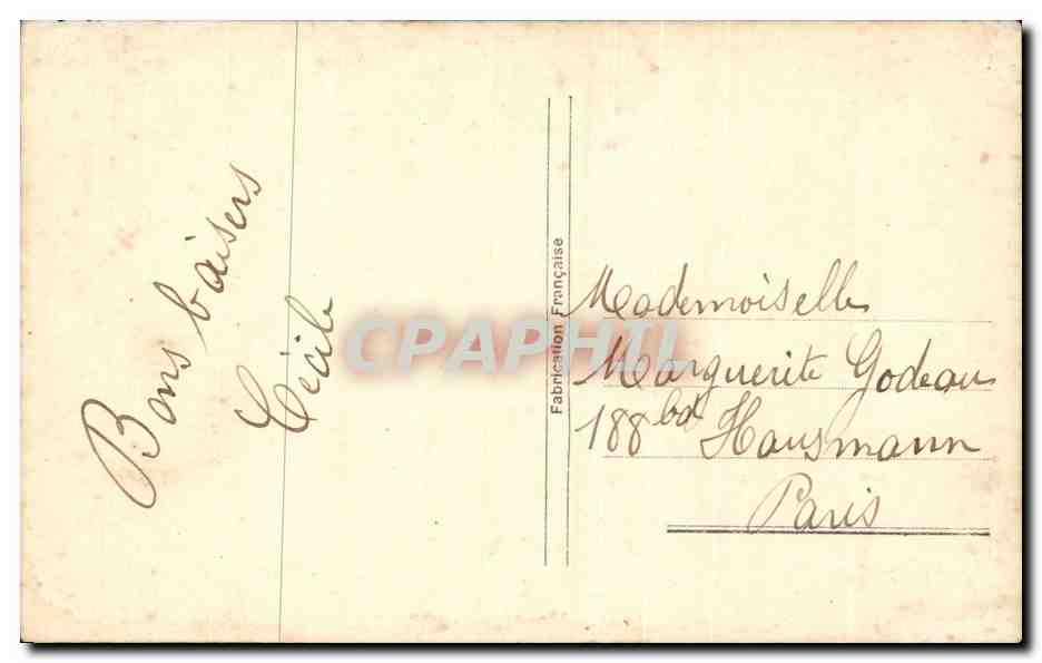 Fleurs - Flowers - Bonne Anne - houx - holly with white berries - CPA  — Rückseite