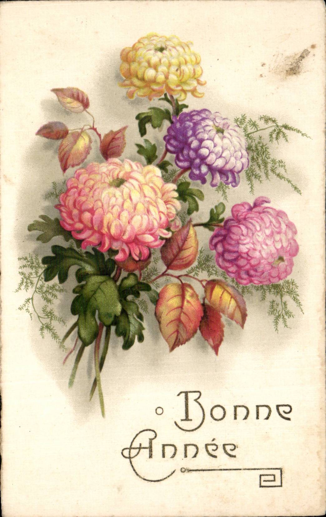 Fleurs - Flowers - victorian - pretty mums - Bonne Annee - CPA 