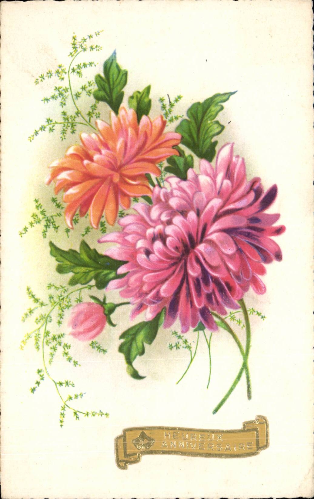 Fleurs - Flowers - pretty mums - CPA 