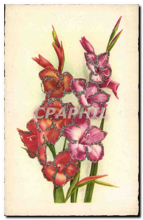 Fleurs - Flowers - flowers edged in glitter - CPA 