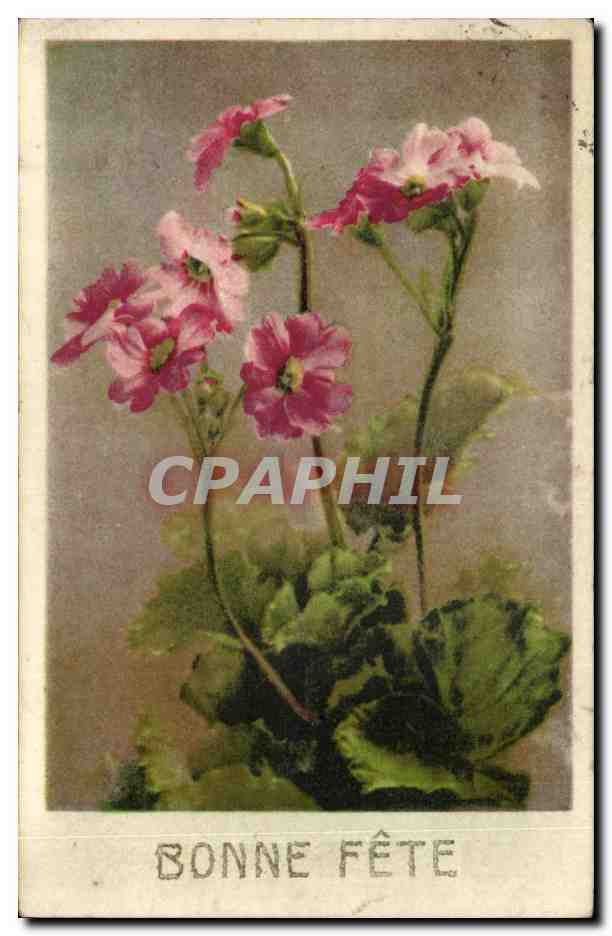 Fleurs - Flowers - Bonne Fete - Pink - CPA 
