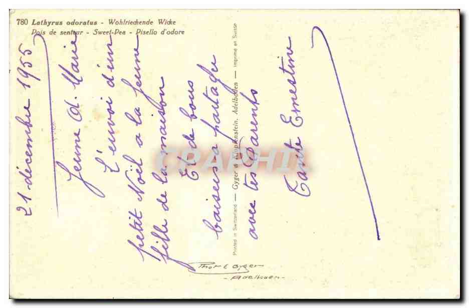 Fleurs - Flowers - pink flowers - CPA  — Verso