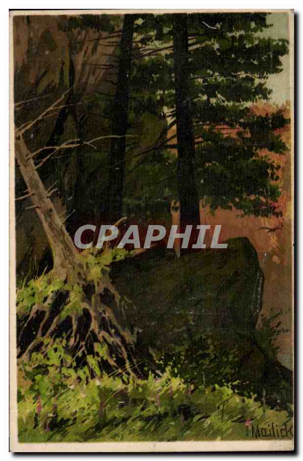 Foret - Woods - Forest - CPA 
