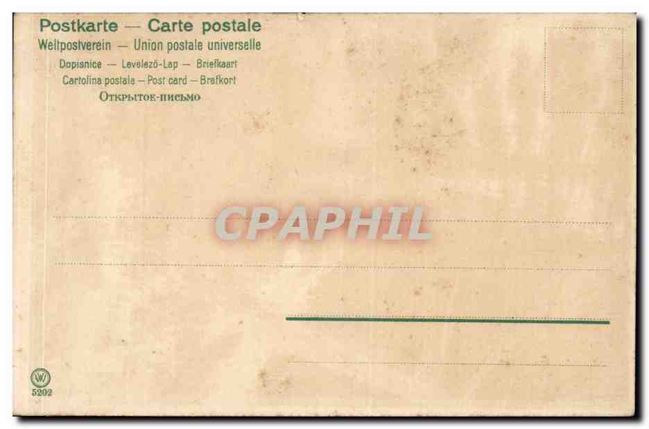 Foret - Woods - Forest - CPA  — Verso