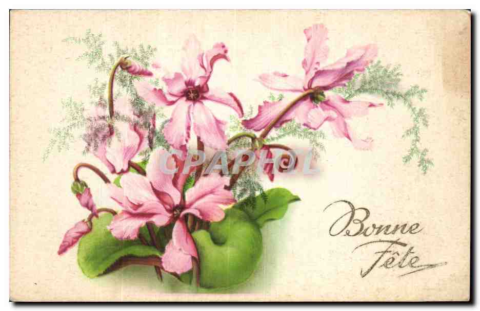 Fleurs - Pretty Flowers - Bonne Fete - CPA 