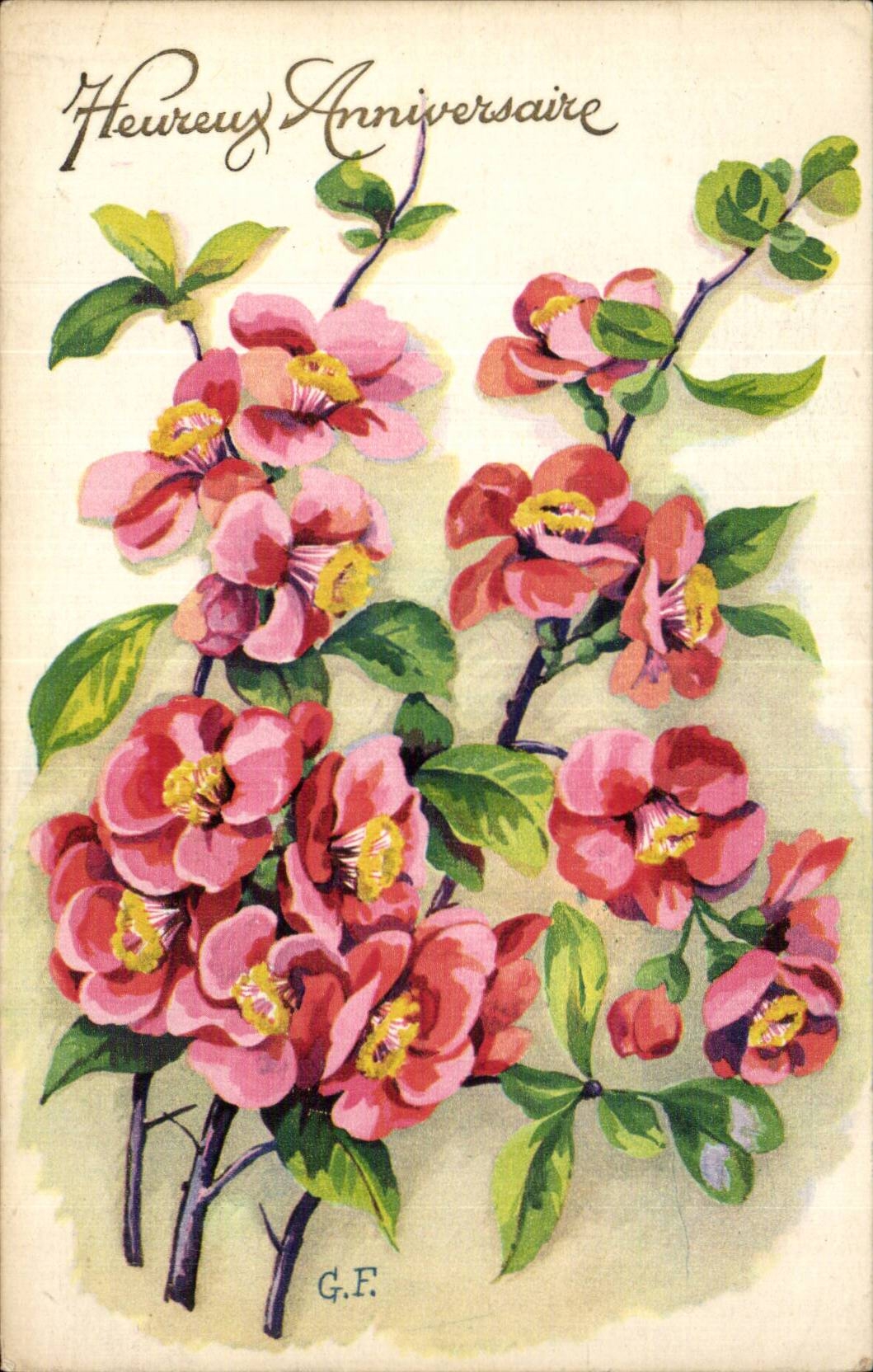 Fleurs - Pretty Pink Flowers - CPA 