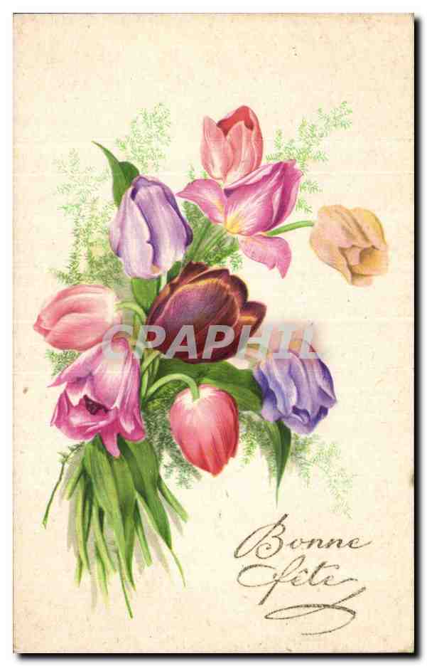 Fleurs - Pretty tulips - CPA 