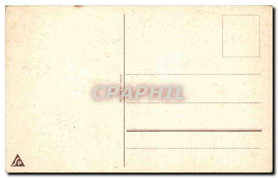Fleurs - Pretty tulips - CPA  — Verso