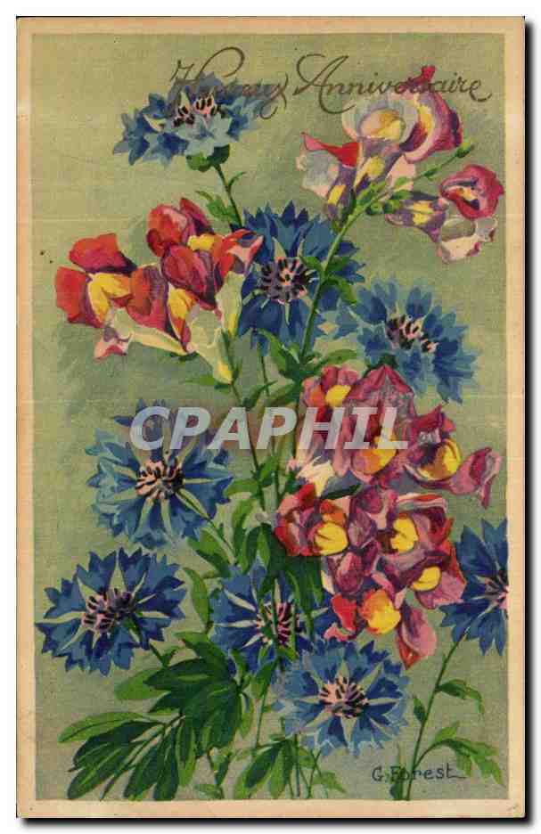 Fleurs - Flowers - brilliant colors - CPA 