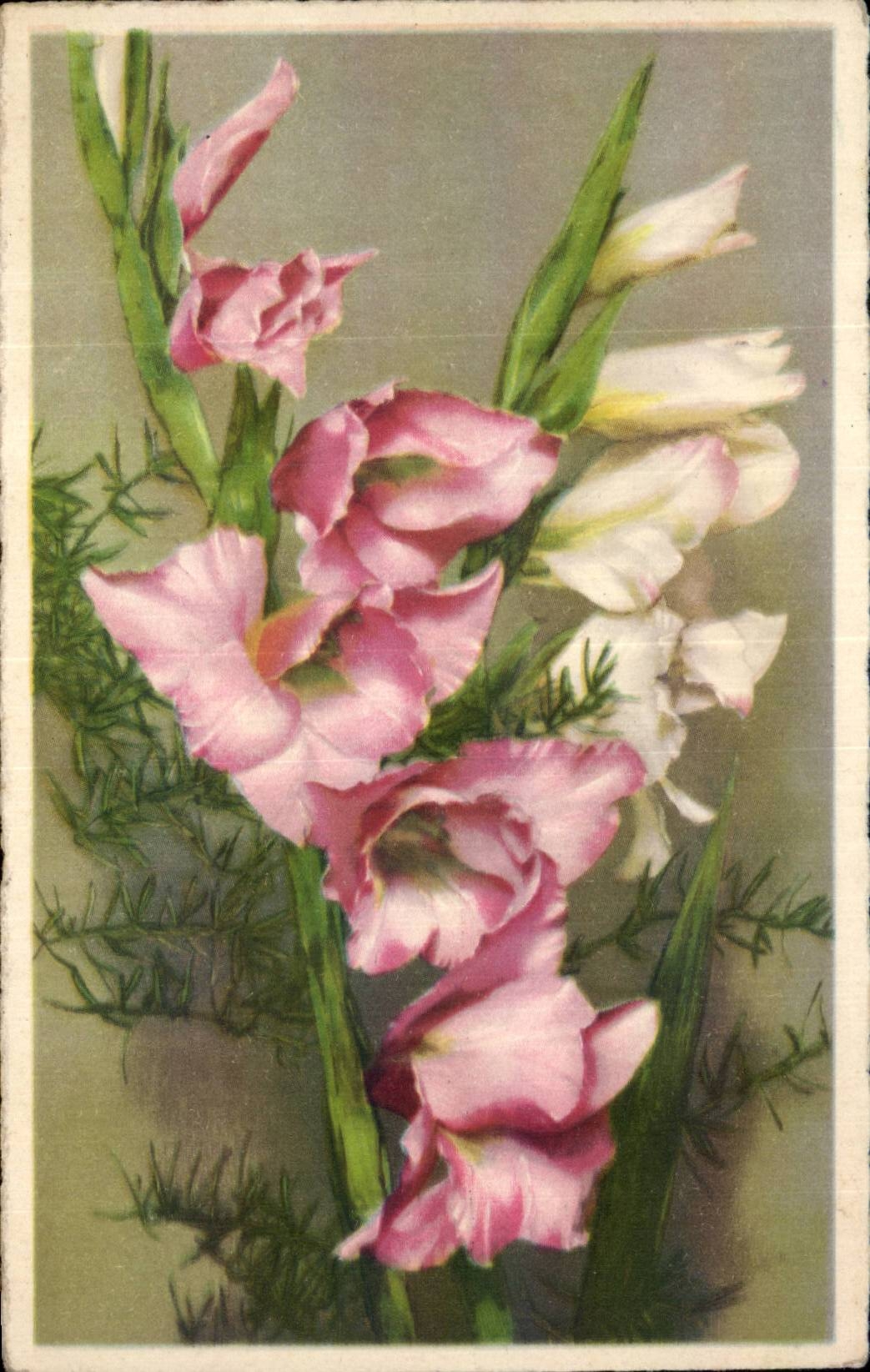 Fleurs - Flowers - pretty pink flowers - CPA 